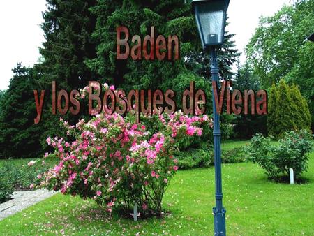 Baden y los Bosques de Viena