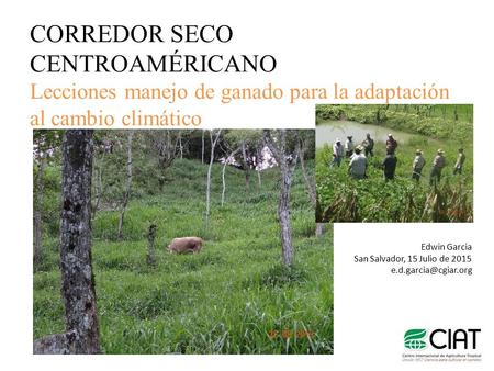 CORREDOR SECO CENTROAMÉRICANO Lecciones manejo de ganado para la adaptación al cambio climático Edwin Garcia San Salvador, 15 Julio de 2015