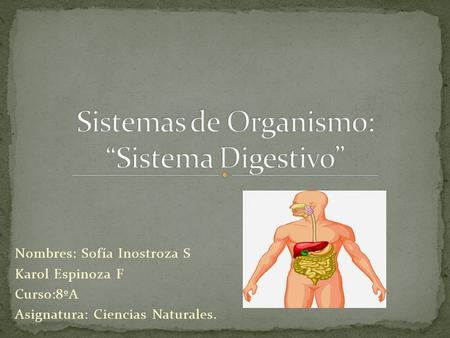 Sistemas de Organismo: “Sistema Digestivo”