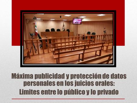 Máxima publicidad y protección de datos personales en los juicios orales: Limites entre lo público y lo privado.