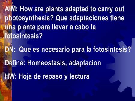 AIM: How are plants adapted to carry out photosynthesis? Que adaptaciones tiene una planta para llevar a cabo la fotosintesis? DN: Que es necesario para.