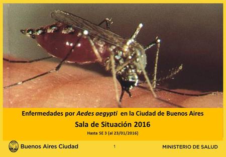 Enfermedades por Aedes aegypti en la Ciudad de Buenos Aires