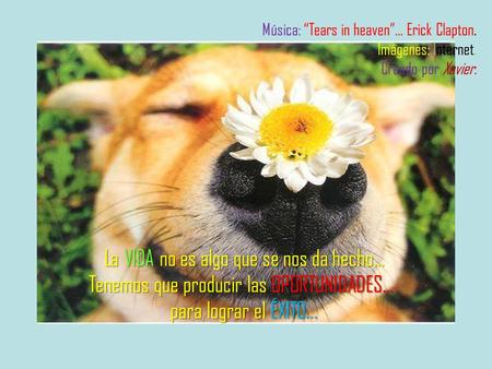 La VIDA no es algo que se nos da hecho… Tenemos que producir las OPORTUNIDADES… para lograr el ÉXITO... Música: “Tears in heaven”… Erick Clapton. Imágenes: