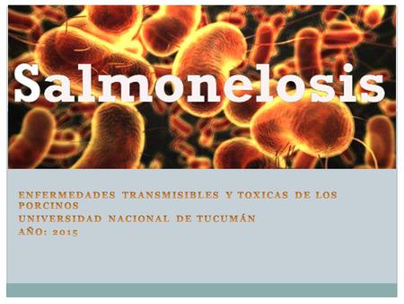 Enfermedades Transmisibles y Toxicas de los Porcinos