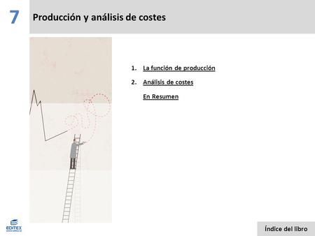 Producción y análisis de costes