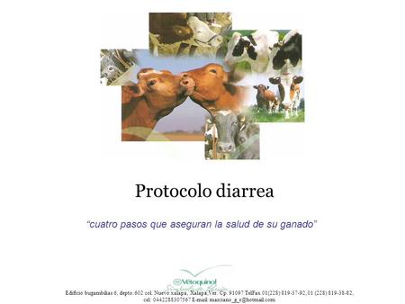 “cuatro pasos que aseguran la salud de su ganado”