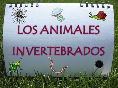 LOS ANIMALES INVERTEBRADOS.