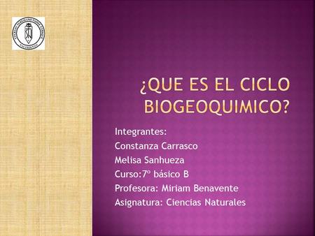¿Que es el ciclo biogeoquimico?