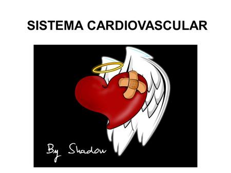 SISTEMA CARDIOVASCULAR. FUNCIÓN DEL SISTEMA CARDIOVASCULAR Trasportar sangre en ambas direcciones entre el corazón y los tejidos Es la principal vía para.