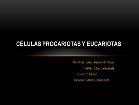 Células procariotas y eucariotas