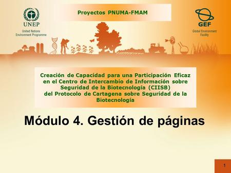 1 Módulo 4. Gestión de páginas Creación de Capacidad para una Participación Eficaz en el Centro de Intercambio de Información sobre Seguridad de la Biotecnología.