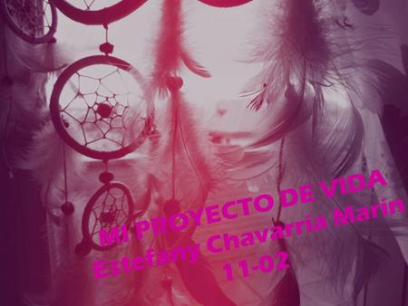 MI PROYECTO DE VIDA Estefany Chavarría Marín 11-02