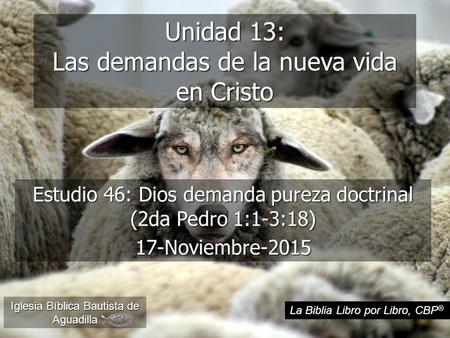 Unidad 13: Las demandas de la nueva vida en Cristo