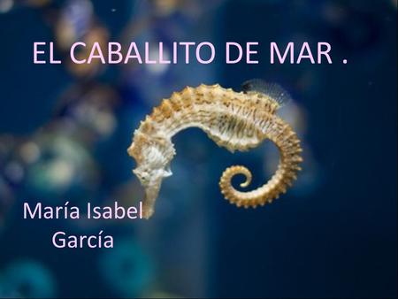 EL CABALLITO DE MAR . María Isabel García.