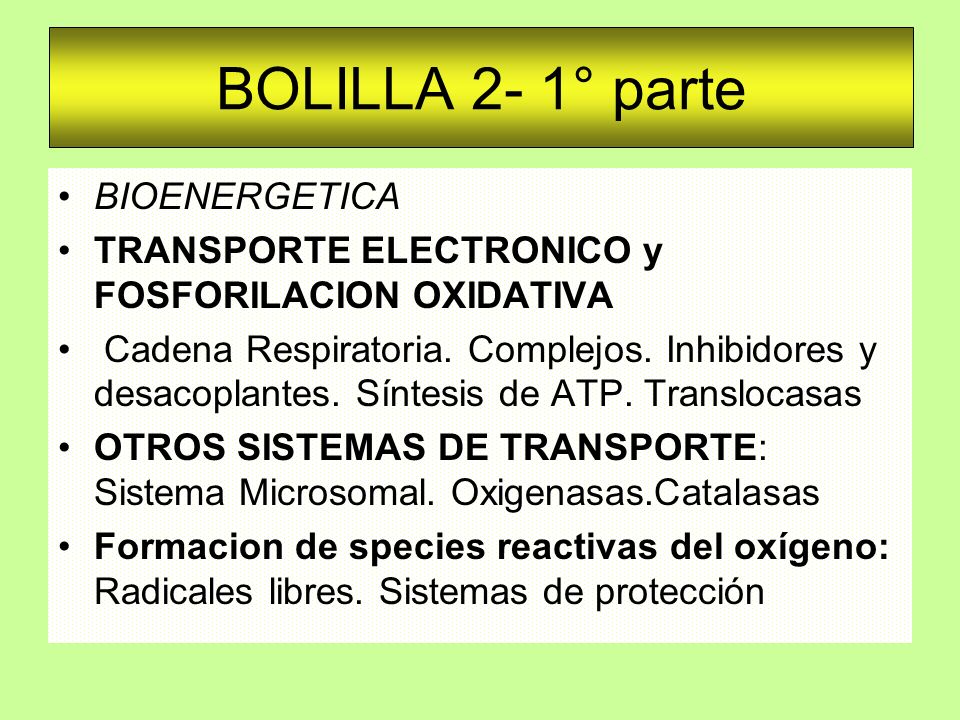 BOLILLA 2- 1° parte BIOENERGETICA - ppt descargar