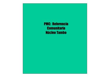 PMC: Referencia Comunitaria Núcleo Tambo. 1.Responsable: Pamela Yangali Cancho 2. Establecimiento: CS Tambo, 05 Puestos de Salud del Nucleo Tambo 3. Integrantes: