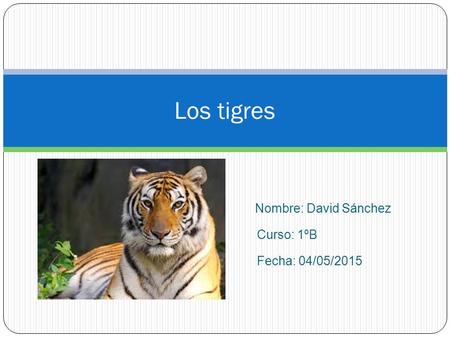 Nombre: David Sánchez Curso: 1ºB Fecha: 04/05/2015 Los tigres.