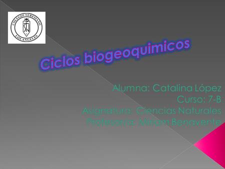 Ciclos biogeoquimicos