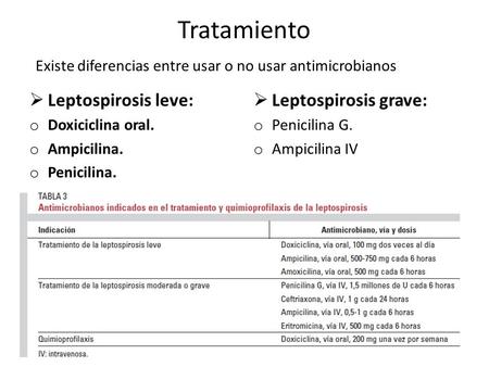 Tratamiento Existe diferencias entre usar o no usar antimicrobianos  Leptospirosis leve: o Doxiciclina oral. o Ampicilina. o Penicilina.  Leptospirosis.