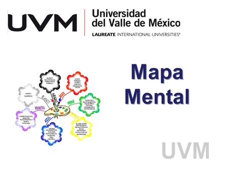 Mapa Mental.