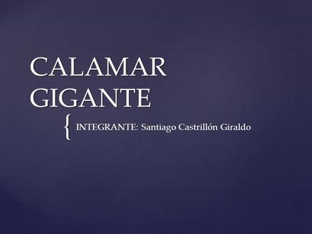 { CALAMAR GIGANTE INTEGRANTE: Santiago Castrillón Giraldo.