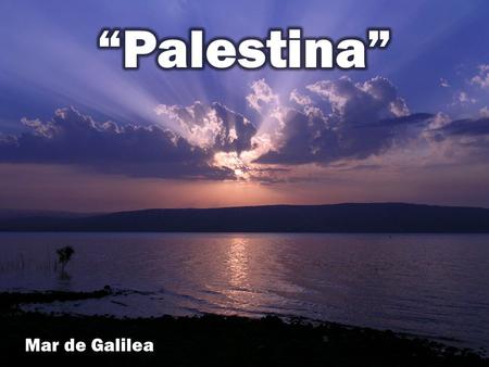 Mar de Galilea. Eres la historia inolvidable, porque en tu seno se derramó la sangre, preciosa sangre, del Unigénito Hijo de Dios. La sangre, preciosa.