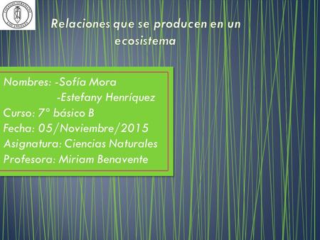 Nombres: -Sofía Mora -Estefany Henríquez Curso: 7º básico B Fecha: 05/Noviembre/2015 Asignatura: Ciencias Naturales Profesora: Miriam Benavente.