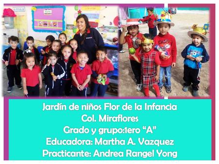 Jardín de niños Flor de la Infancia Col. Miraflores