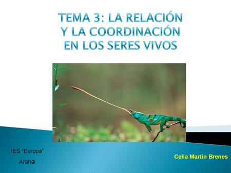 TEMA 3: LA RELACIÓN Y LA COORDINACIÓN EN LOS SERES VIVOS