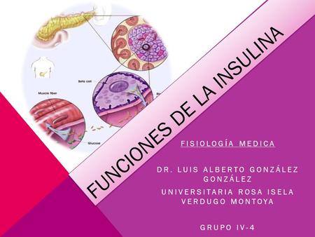 FUNCIONES DE LA INSULINA