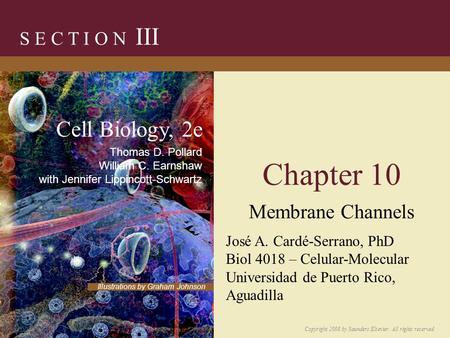 Chapter 10 Membrane Channels S E C T I O N III Copyright 2008 by Saunders/Elsevier. All rights reserved. Illustrations by Graham Johnson Cell Biology,