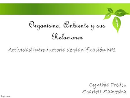 Organismo, Ambiente y sus Relaciones Actividad introductoria de planificación Nº1 Cynthia Fredes Scarlett Saavedra.
