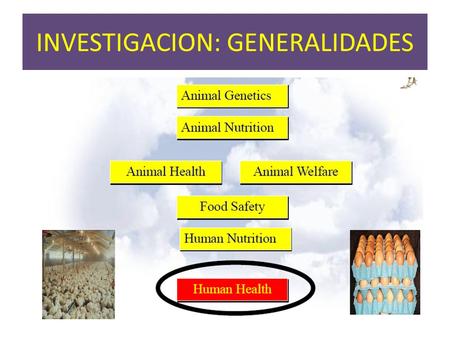 INVESTIGACION: GENERALIDADES. ACADEMIA SOCIEDAD CIVIL: CONSUMIDOR SOCIEDAD CIVIL: CONSUMIDOR ESTADO EMPRESA ESFUERZO CONJUNTO DE: INVESTIGACION…. CIENCIA.