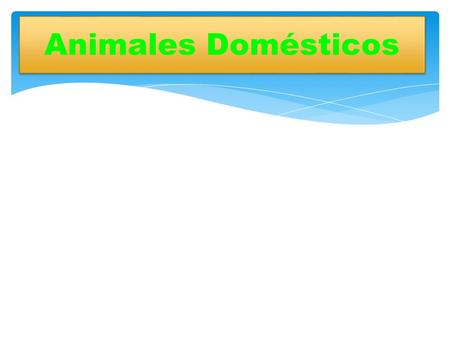 Animales Domésticos.