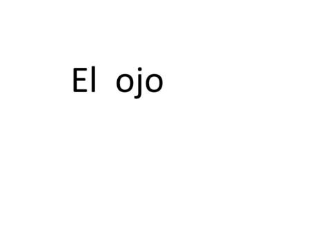 El ojo.