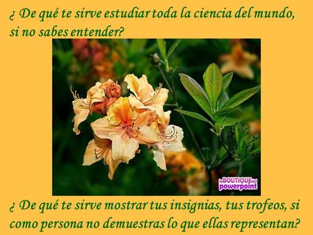 ¿ De qué te sirve estudiar toda la ciencia del mundo, si no sabes entender? ¿ De qué te sirve mostrar tus insignias, tus trofeos, si como persona no demuestras.