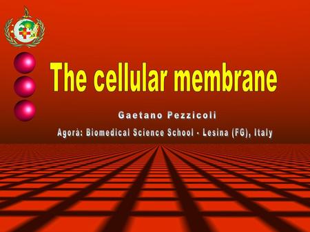 Cell nucleus organuls citosol cellular membrane Membrane structure GlicoproteinProteincholesterolphosphatelipide.