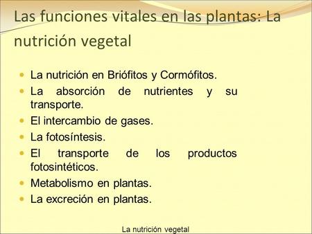 Las funciones vitales en las plantas: La nutrición vegetal
