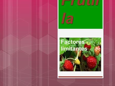 Frutil la Factores limitantes. Ecología II Profesora: Silvia Raffín Colegio «Yapeyú»  Alumnas: Agustina Molina Ana Laura Sosa Luciana García Campos Macarena.