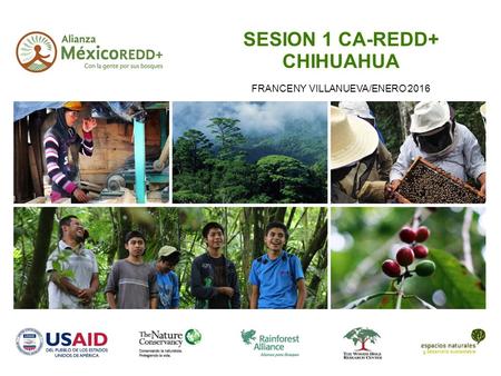 SESION 1 CA-REDD+ CHIHUAHUA FRANCENY VILLANUEVA/ENERO 2016.