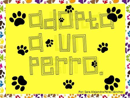 Por: Sara Alejandra Pérez Sánchez. En el distrito federal existen 1O millones de perros viviendo en casas hogar y en las calles, y de estos 15 mil son.