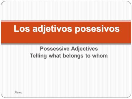 Possessive Adjectives Telling what belongs to whom Los adjetivos posesivos Álamo.