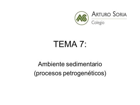 Ambiente sedimentario (procesos petrogenéticos)