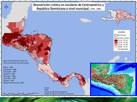 Desnutrición crónica (T/E