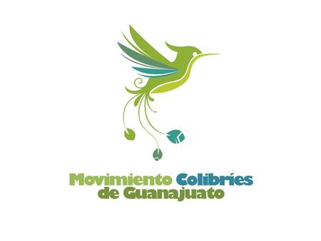Movimiento Colibríes de Guanajuato. NUESTRO PLANETA HOY.