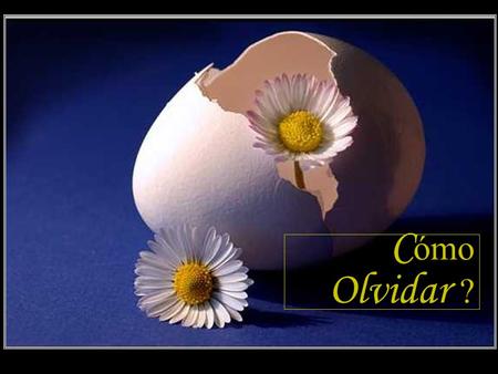 C ómo Olvidar ? Cómo olvidar los días grises, si son ellos los que me traen el brillo del sol?