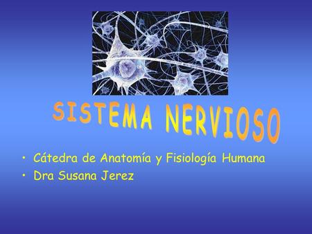 SISTEMA NERVIOSO Cátedra de Anatomía y Fisiología Humana