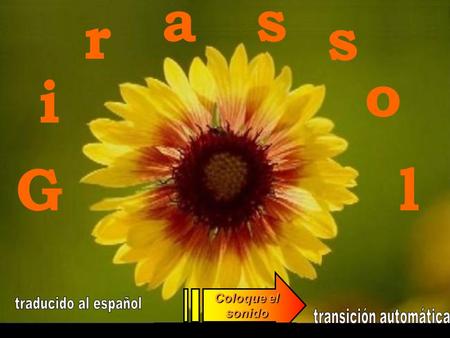 G i r as s o l Coloque el sonido Nuestros ojos son selectivos, nosotros focalizamos lo que queremos ver y dejamos de ver lo restante.