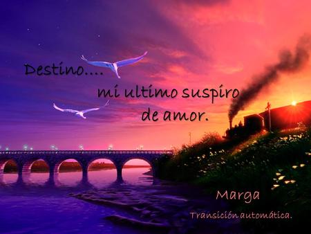 Destino…. mi ultimo suspiro de amor. Marga Transición automática.