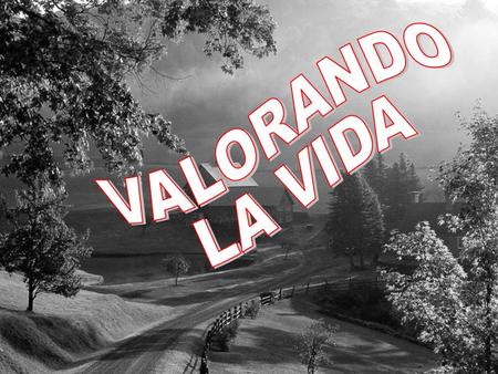 A veces no nos damos cuenta de las cosas buenas que tenemos y vamos tras falsos tesoros.